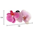 Foto 4 di 21