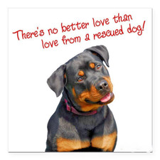 DOG RESCUE ROTTWEILER Pendant 925 Silver 20" Chain Necklace Ladies Women Men