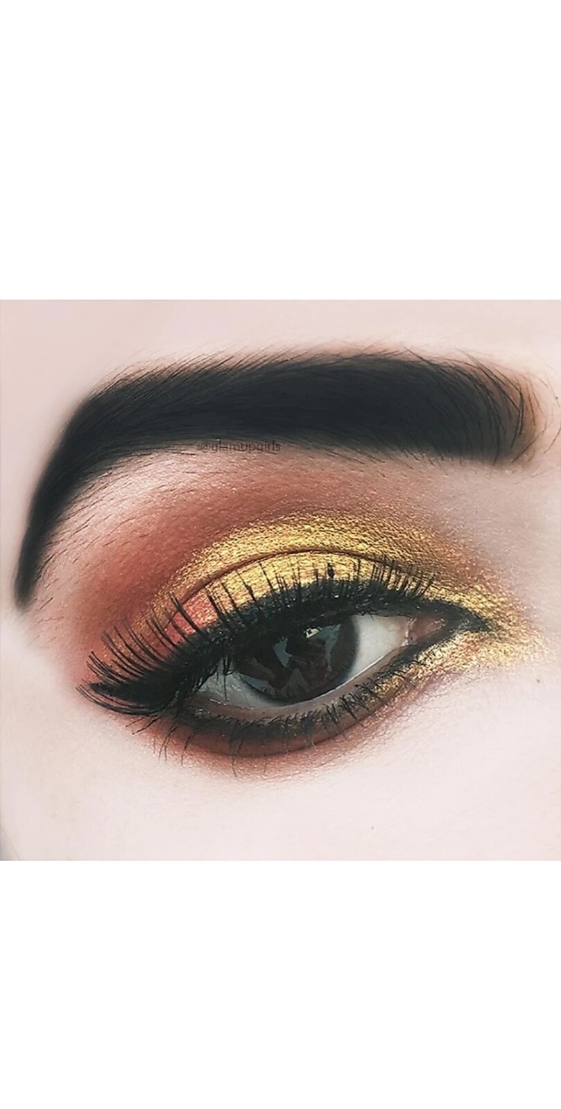 Makeup Kit Your Ultimate Beauty Companion makeup makeup kit kit