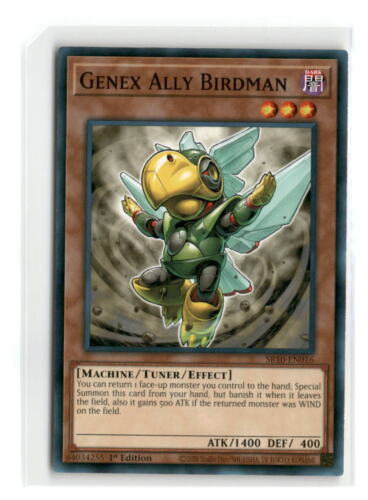 Genex Ally Birdman - SR10-EN016 1st Edition - YuGiOh-LP - Afbeelding 1 van 1