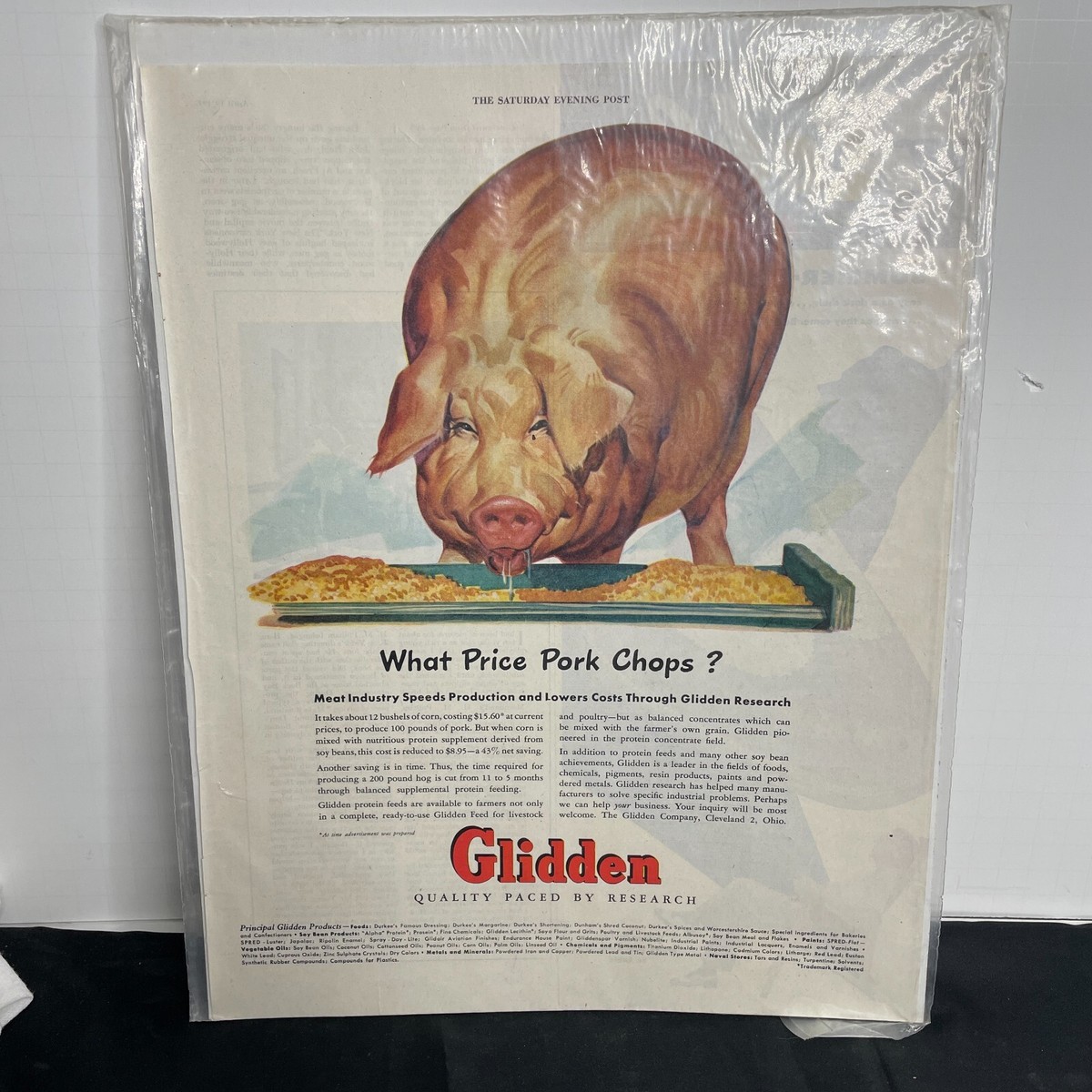 1947 Glidden Co Big Pig Eating Corn Trough Soy Bean Pig Food