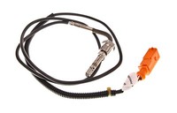 Abgastemperatursensor VW Transporter 03-