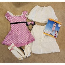 Disney Minnie Mouse Adult Costume Pink Polka Dot Dress Ears Gloves Socks Large