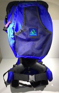 evenflo hiking backpack