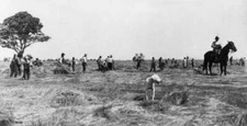 Italy Tuscany A Group Of Peasants During The Harvest 1910-20 OLD PHOTO