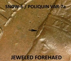1892 Indian Head Cent - XF SNOW-6 / POLIQUIN VAR-7a "JEWELED FOREHEAD" (M731)