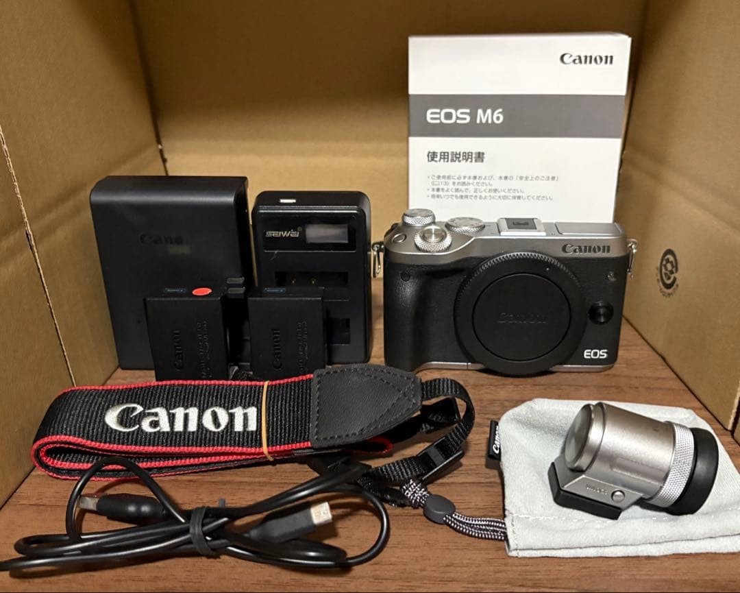 Canon EOS M6 Silver Mirrorless Camera with EVF-DC2 and Accessories
