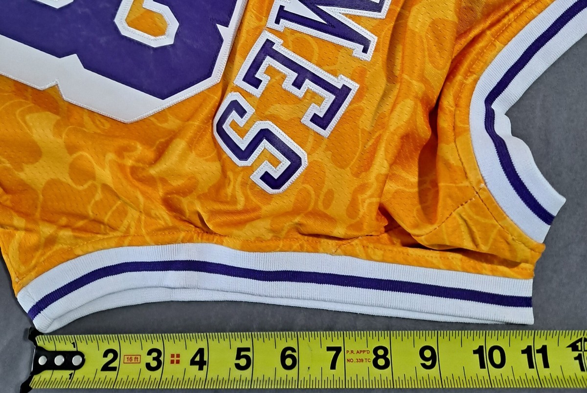 Bape X Mitchell & Ness Los Angeles Lakers Lebron James #23 Stitch