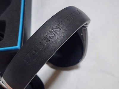 Sennheiser HD 700 Headband Headphones - Titan for sale online | eBay