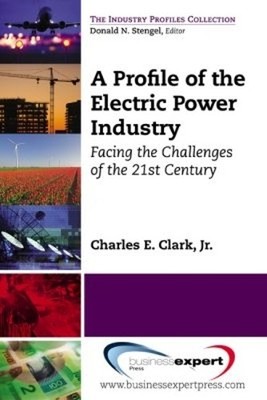 Charles Clark A Profile of the Electric Power Industry: Facing the (Taschenbuch)