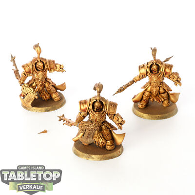 Adeptus Custodes - 3 Allarus Custodians - teilweise bemalt