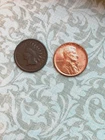 Wheat roll-NO DUPS! (date or mm)  1890 Indian/1950D BU ends - SEE INFO!