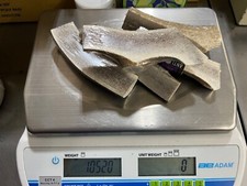 Bulk USA Elk Antler Dog Chews By The Pound Grade A Dog/Craft SPLIT or WHOLE