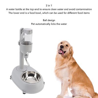 Pet Standing Water Dispenser Feeder Bowl 500ml No Drip Automatic Water  Bottle