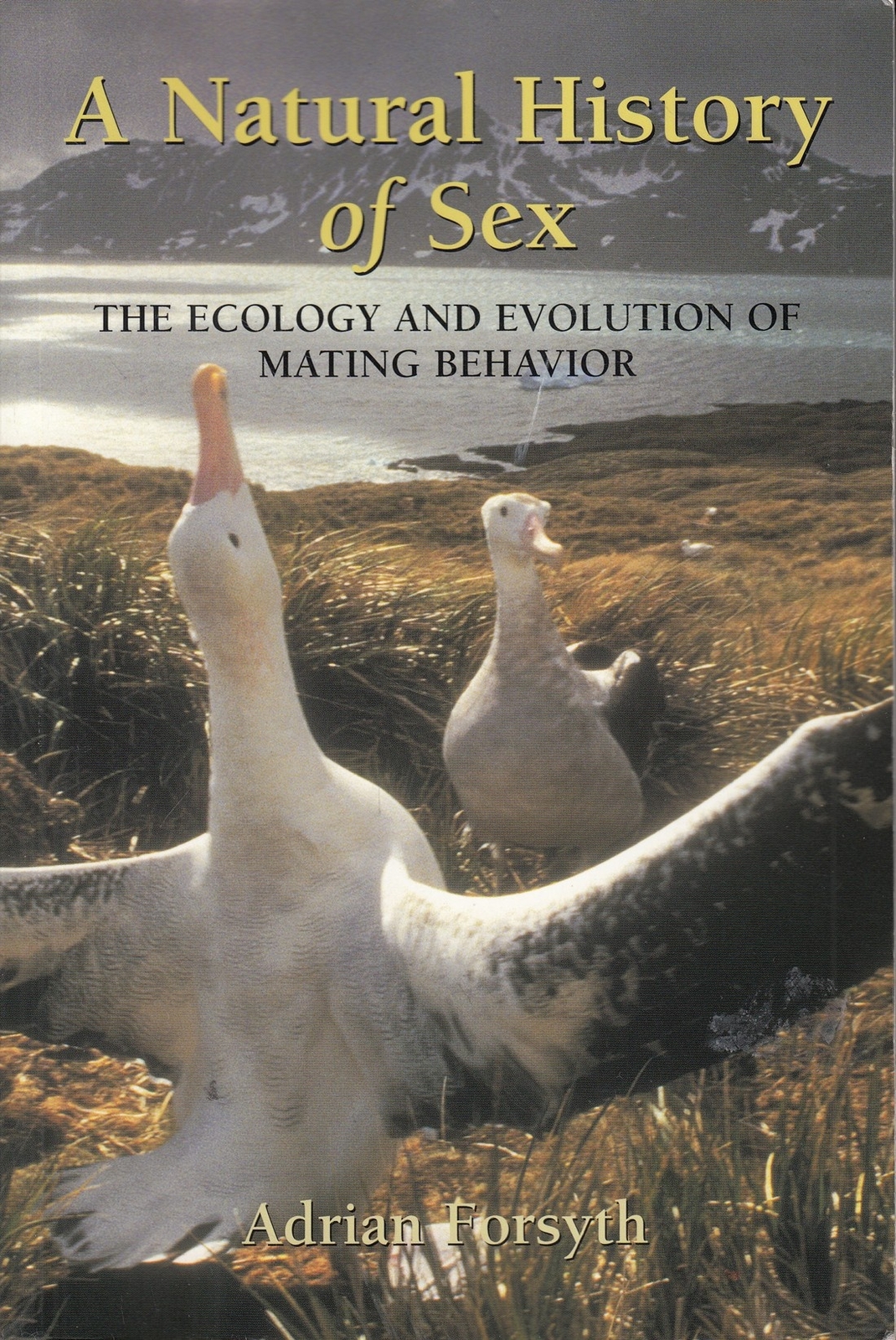 The Natural History of Sex: The Ecology and Evo... - Adrian Forsyth - Good - ...