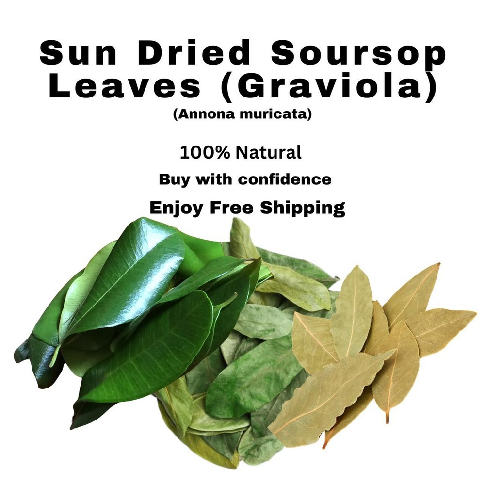 Soursop leaves Soursop Leaf Natural & Fresh Graviola Leaves for tea 1 oz to 1 Kg