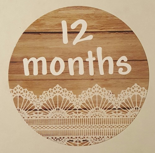 Wood w/ Lace - Baby Milestone Stickers - Months 1-12 - 2.5" Round Glossy Labels - Picture 12 of 12