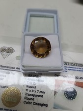  on The Hot Collector