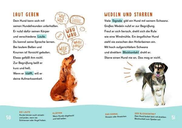 Thumbnail - Dein Lesestart - Hunde