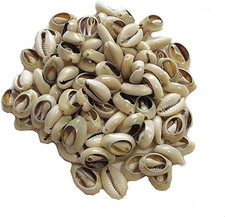 100 Pcs White and Lvory Natural Cowrie Shells Beads Oval Beach Seashells