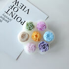<!--F#f_0-->7 in 1 Flower Silicone Mold Candle Mold Rose Flower Handmade Soap Mould<!--F/-->