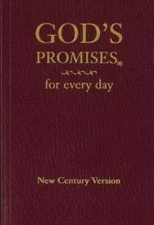 God's Promises for Every Day - Paperback By Countryman, Jack - GOOD