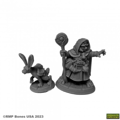 Reaper Bones USA Dungeon Dwellers 07096 HOLLIS GRAYHEATH AND VERBENA HALFLING