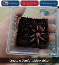 15 Pack Spider Terrarium Breeding Box Small Insect Hatching Container Stackable