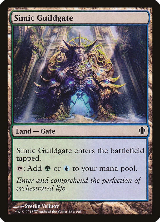 Simic Guildgate - 323 / English / Lightly Played MTG