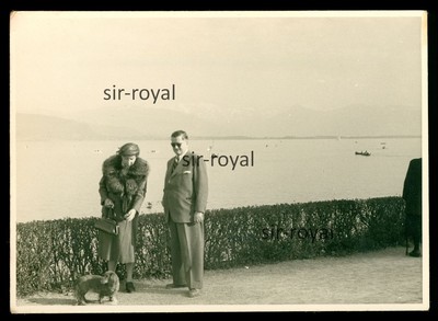 Pair with Dachshund Dog 1954 in Lindau on Lake Constance - Dachshund Teckel - Photo 10x7cm
