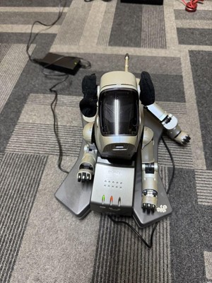 Sony Aibo Ers-111 Robot Dog Power On Operation Tested Working As Is JAPAN JP