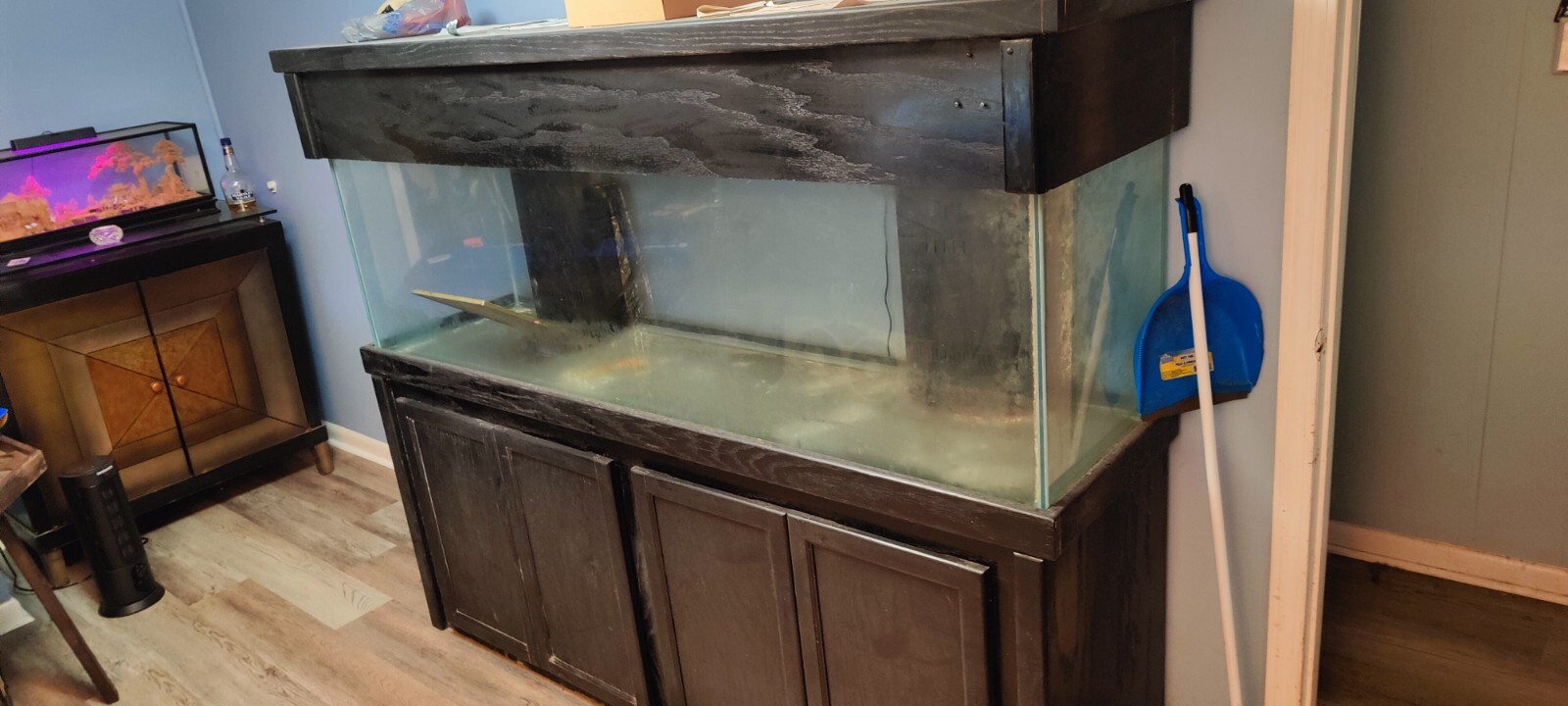 125G Aquarium with stand eBay