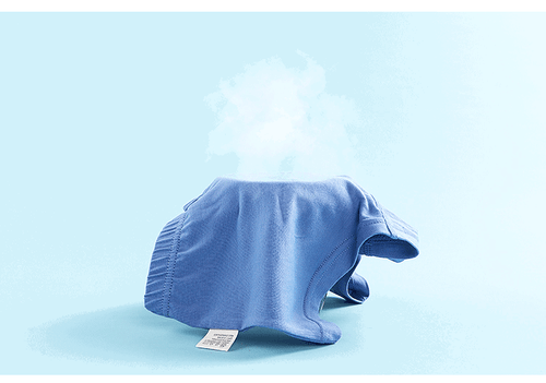 Paquete de 6 calzoncillos boxer peinados de algodón para niños pequeños ropa interior de entrenamiento para niños - Imagen 9 de 48