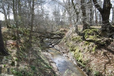 Foto 6x4 Hedderwick Burn West Barns sieht Gezeiten über der Brücke bei Hedd c2017