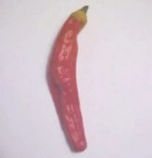 25  seeds Charleston Hot hot pepper garden planting spicy food