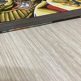 Fighting Vipers Saturn Game Manual Biting the Vipers Used 33q