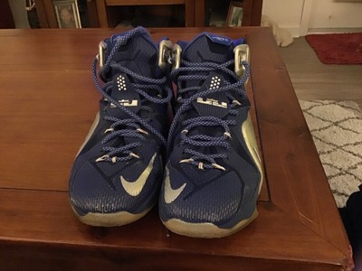 lrj sfg lebron shoes