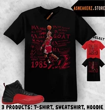 Shirt To Match AJ 12 Flu Game Sneaker Matching Tee MJ 23 Accolades T-Shirt