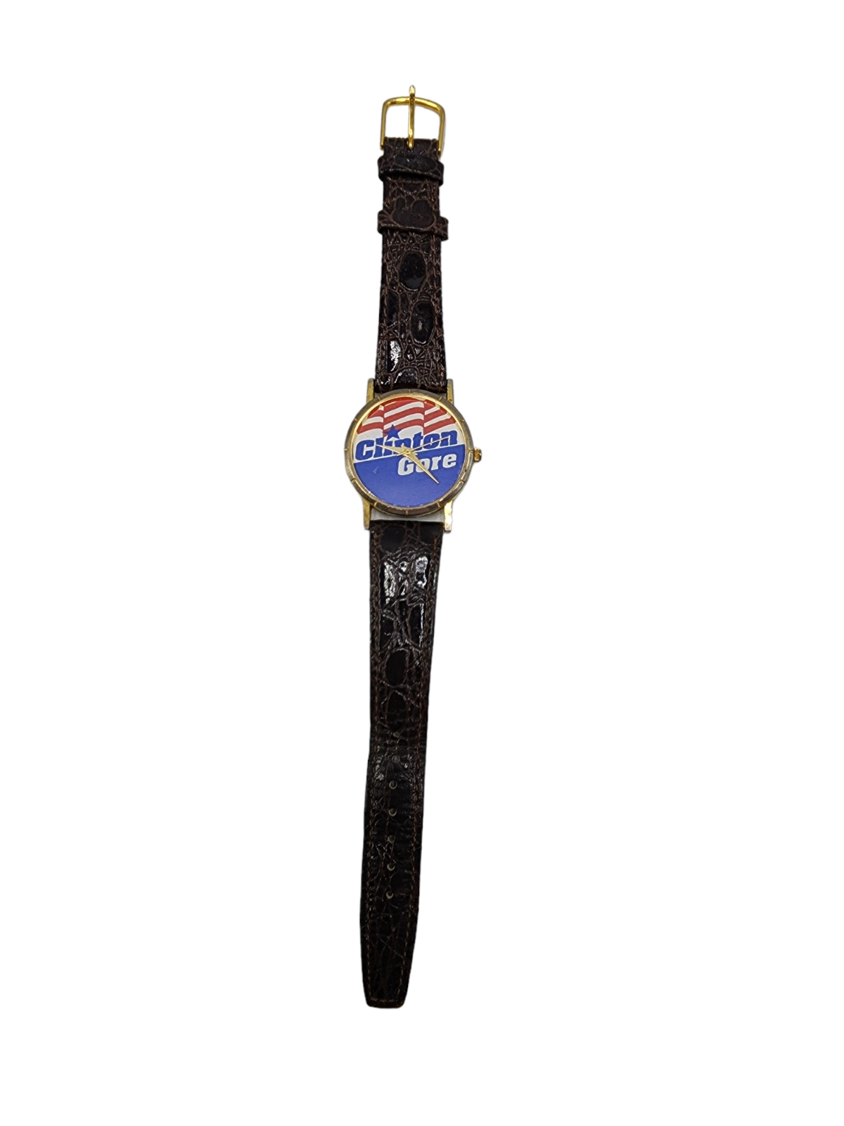 Clinton for President 96 Clinton Gore Campaign Watch Various Bands NEED