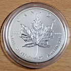 Maple Leaf * 2013 * 1 Unze / oz * Silber * Silbermünze