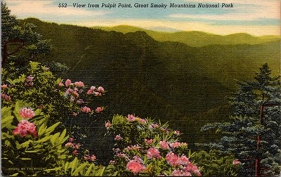 View From Pulpit Point Great Smoky Mountains National Park Oct 6 1954 Linen...