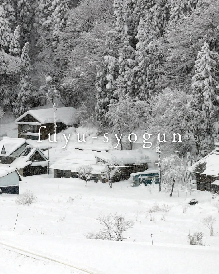 Pilot Iroshizuku Fuyu Shogun Fountain Pen Ink 50ml for Students and Teens Foto 4 de 4