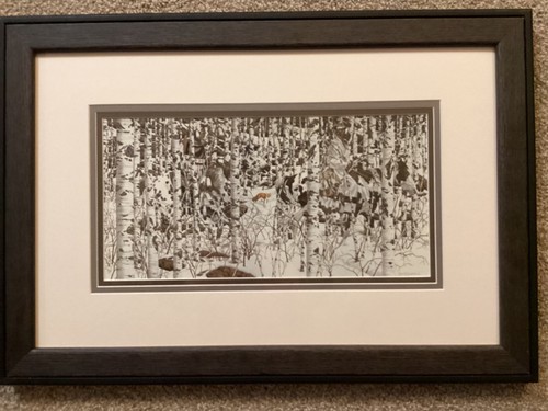 Bev Doolittle Woodland Encounters WSS Gallery Quailty Framing