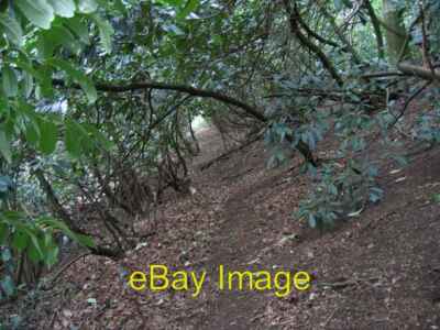 Foto 6x4 Llwybr Clawdd Wat\/Wat's Dyke Way Flint\/Y Flint Der Fußweg c2007