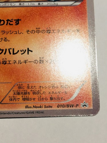 Carta Pokemon Promo Gigalith GIM 010/BW-P gioco molto raro dal Giappone Nintendo F/S - Foto 5 di 12