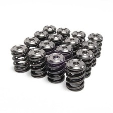 Skunk2 Alpha Valve Spring And Titanium Retainer Kit Hondaacura K Series
