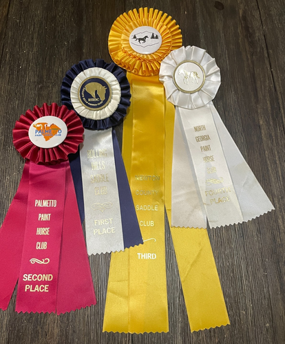 Lot 10 horse show ribbons rosettes crafts Race Watch Party Decor GA SC Clubs - 第 3/12 張圖片