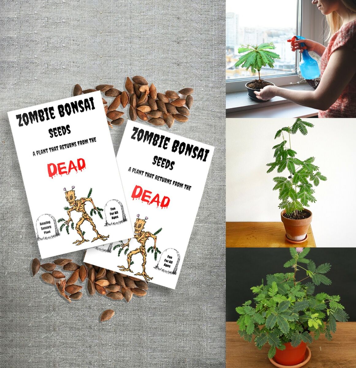 ZOMBIE PLANT Seed Packets (2) - (It