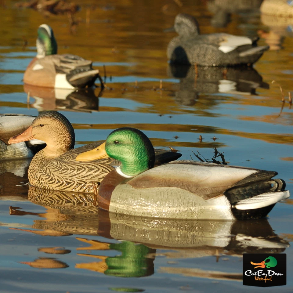 Avery GHG Greenhead Gear Life-Size ES Mallard Duck Decoys - 1 Dozen - Image 2 of 4