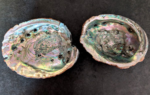 Two Large Red Abalone Shells Lot w/ Blister Pearls From Morro Bay, Ca Cannery